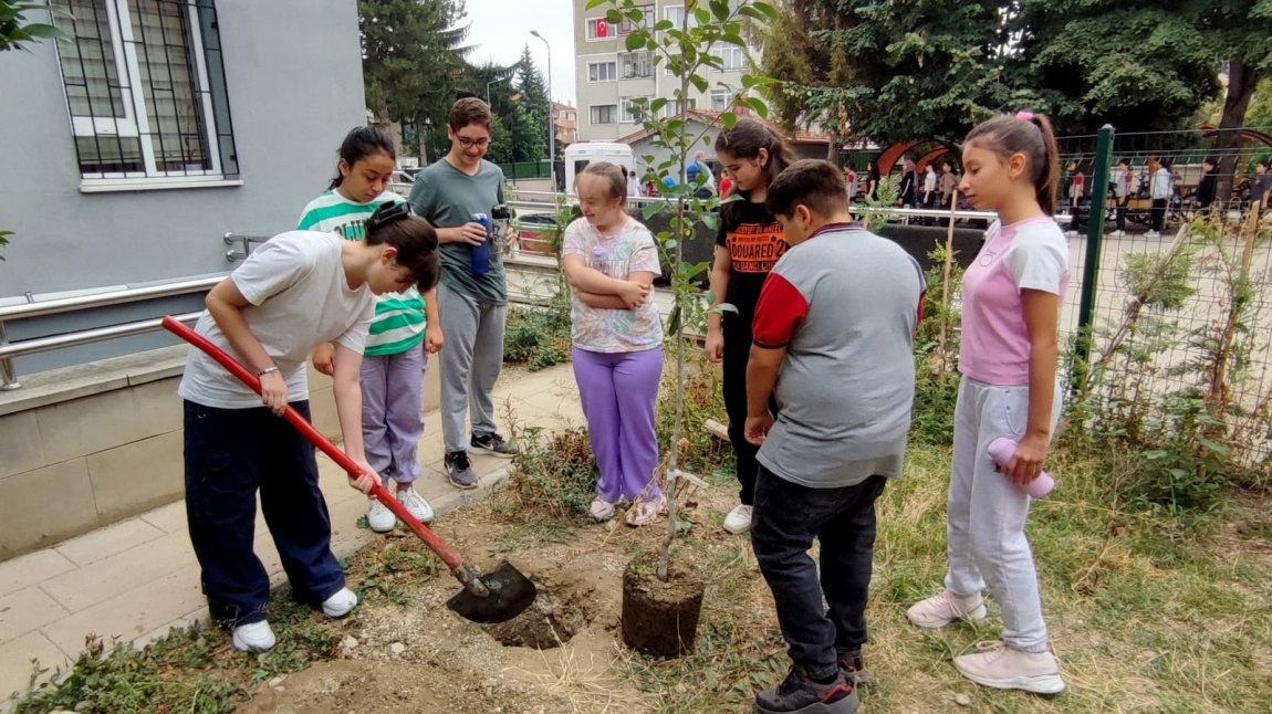 “Yeşil Vatan İçin Anlamlı Dokunuş: Özel Eğitim Öğrencilerinden Fidan Dikim Etkinliği”